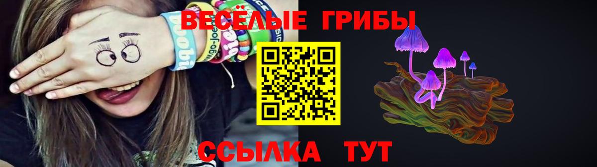 Галлюциногенные грибы Magic Shrooms Бугуруслан